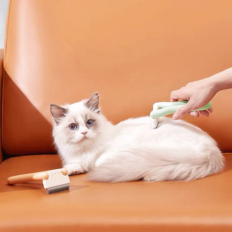 https://cdn.shopify.com/s/files/1/0154/8632/0688/products/petshy-deshedding-pet-brush-2-colours-263426.jpg?v=1646246947&width=800