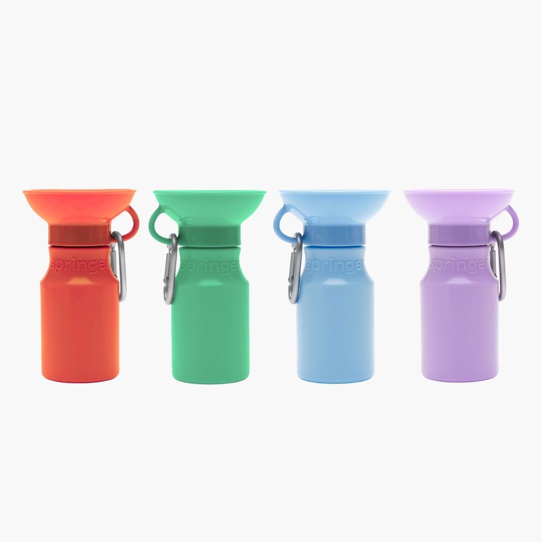 https://cdn.shopify.com/s/files/1/0154/8632/0688/products/springer-mini-travel-bottle-980514.jpg?v=1694111406&width=1080