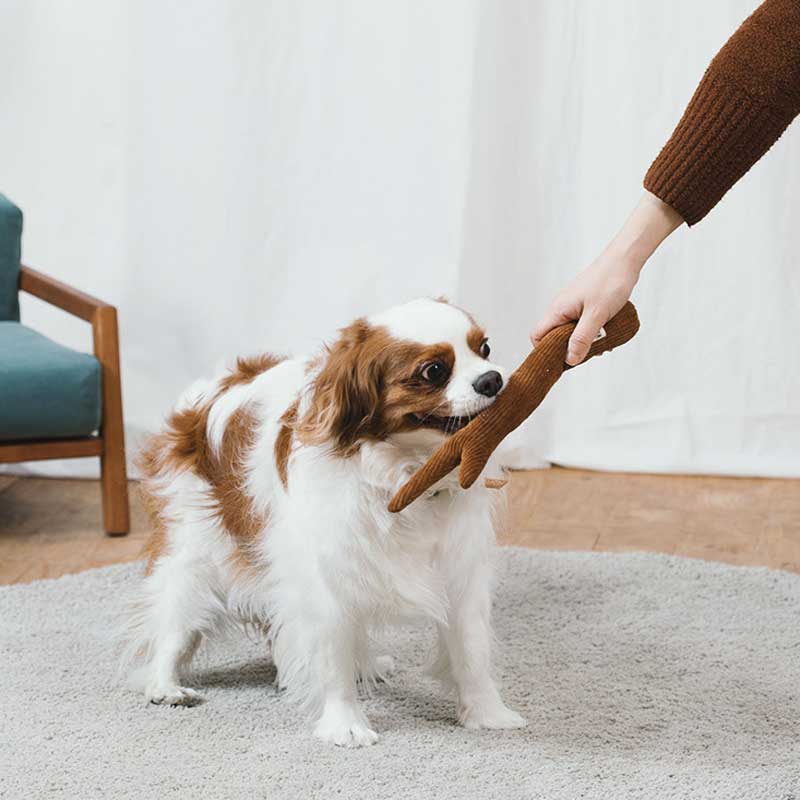 Bite Me — Butter Croissant Nose Work Dog Toy