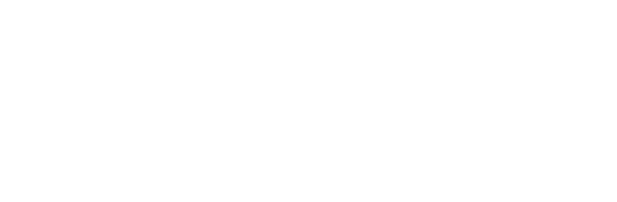 The Shopping Bag