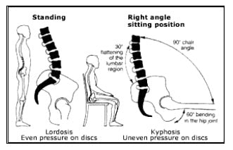 spine align chair