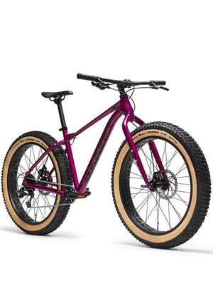 moose fat bike 1