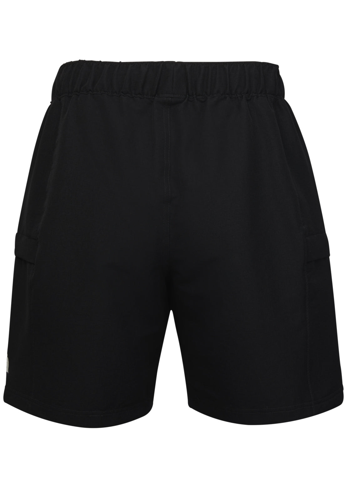 north face class v shorts