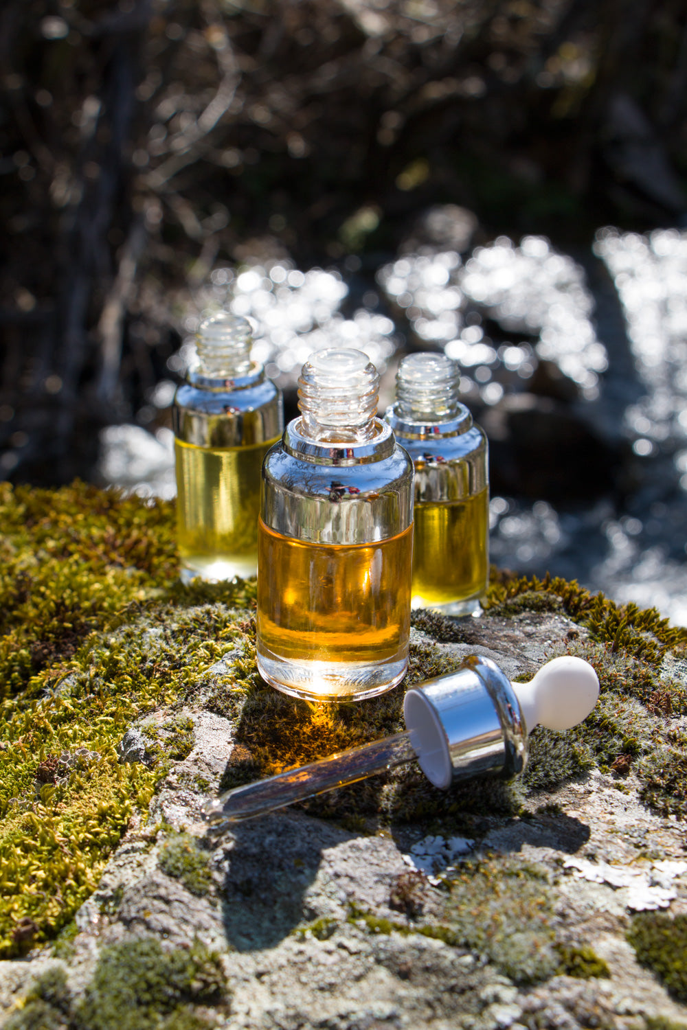 Bottles of natural oils on top of a rock