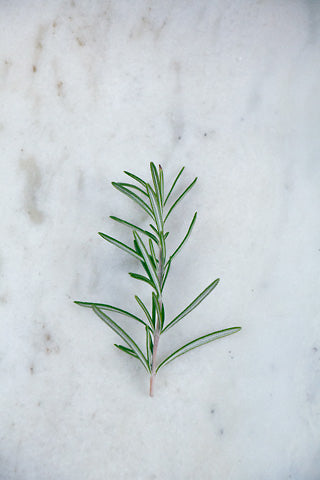 Fresh rosemary for an infusion