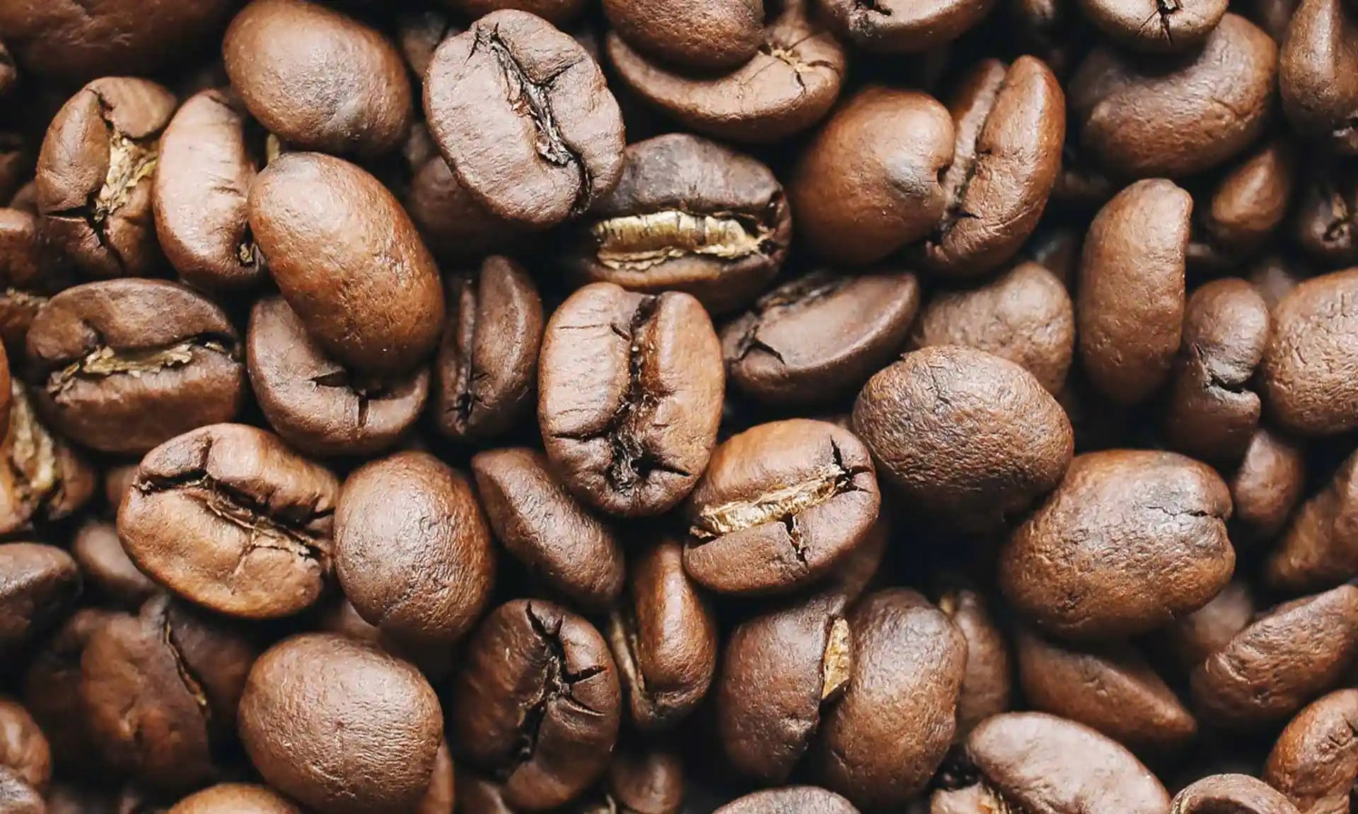 Brown Bear Coffee