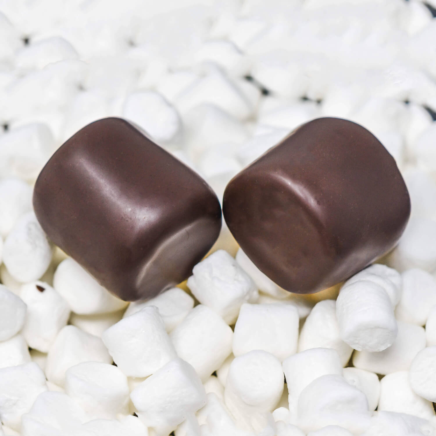 Chocolate Covered Marshmallows (6 count) Robin's Confections