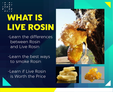 what is live rosin