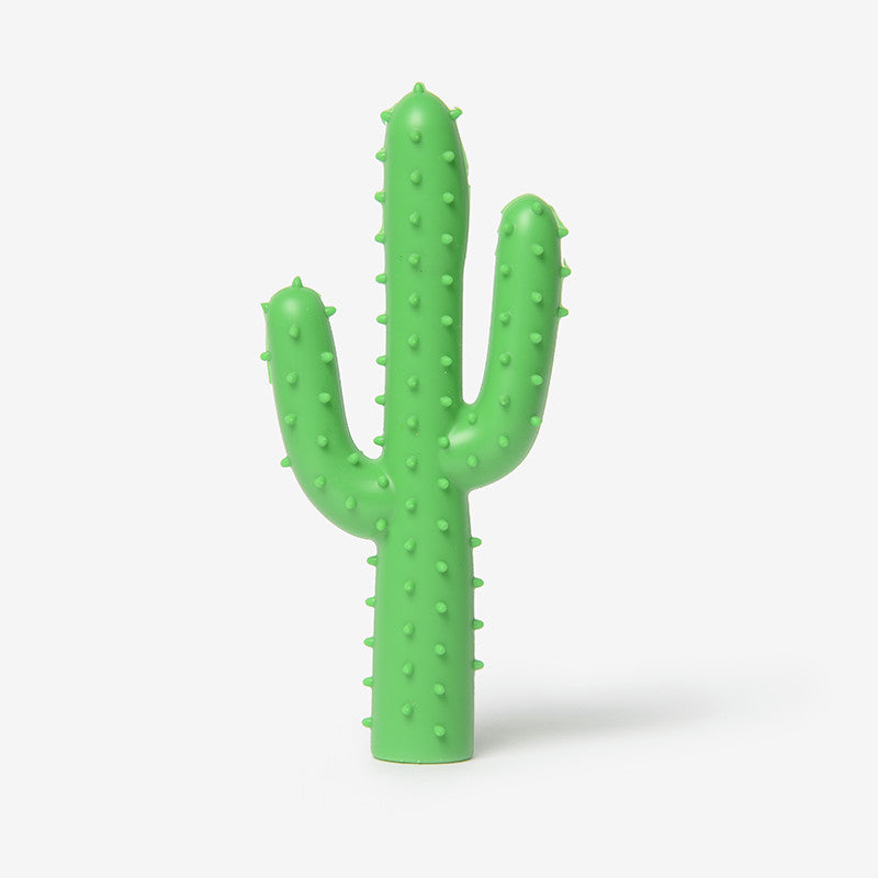 sad cactus dog toy