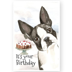 boston terrier dog birthday card Saddlemount Cards®