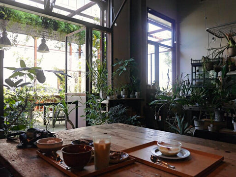 充滿綠色植物的咖啡廳