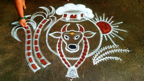 A Bull Kolam for Pongal