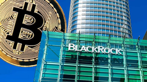 Who will control the world of the future? Blackrock or bitcoin?