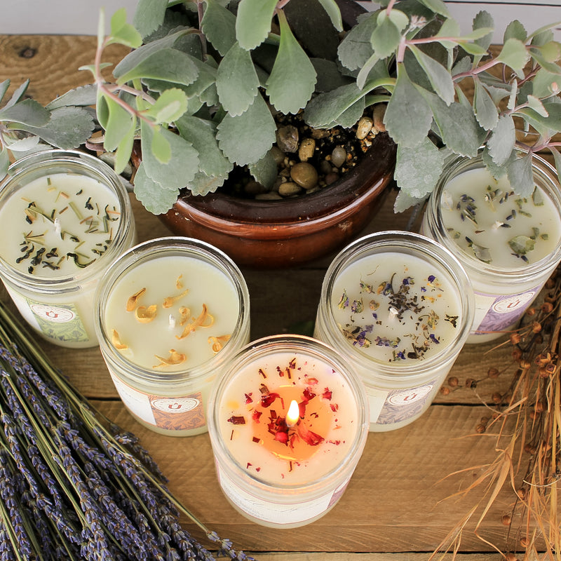 Unwined Botanical Collection Soy Wax Candle - Cypress ...