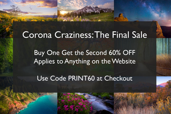 #3: The Final of the Crazy Corona Sale! – Hanley Photography