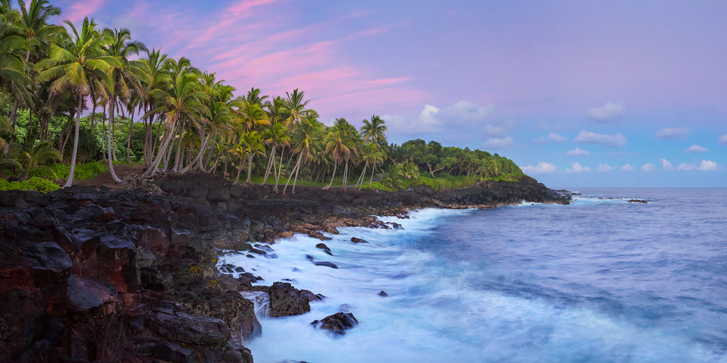 Fine art photography of palm trees along the puna coast in Hawaii. 