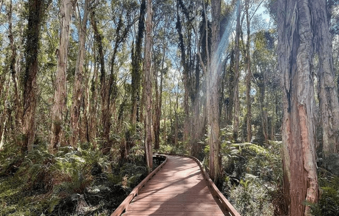 Coombabah Lakelands - mum and bub walk on the gold coast