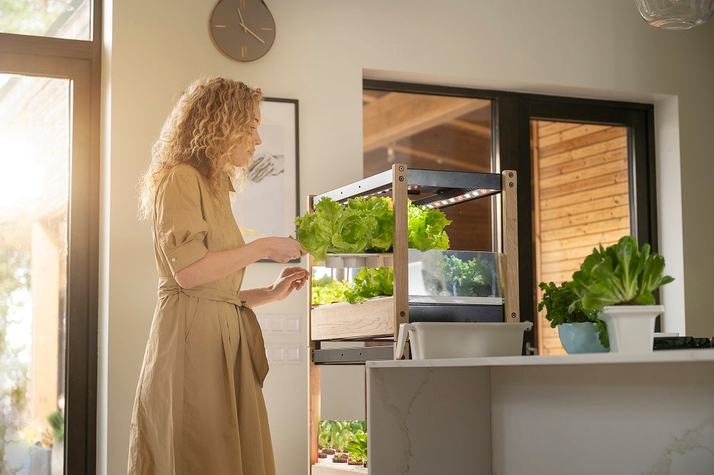 Woman removing a tray from the Click and Grow 25.