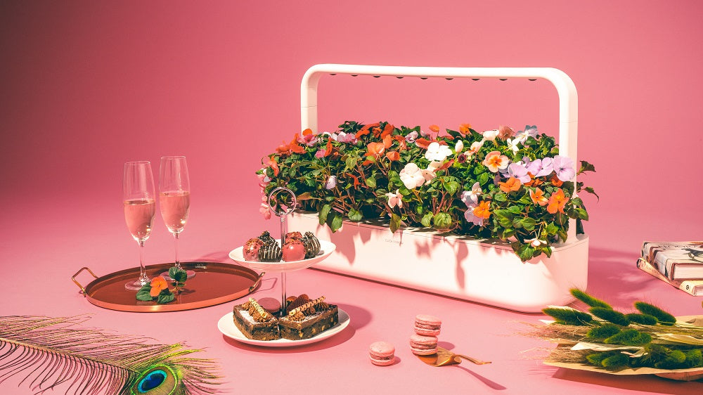 The Click & Grow Smart Garden 9 against a pink backdrop with romantic ornaments scattered around it.