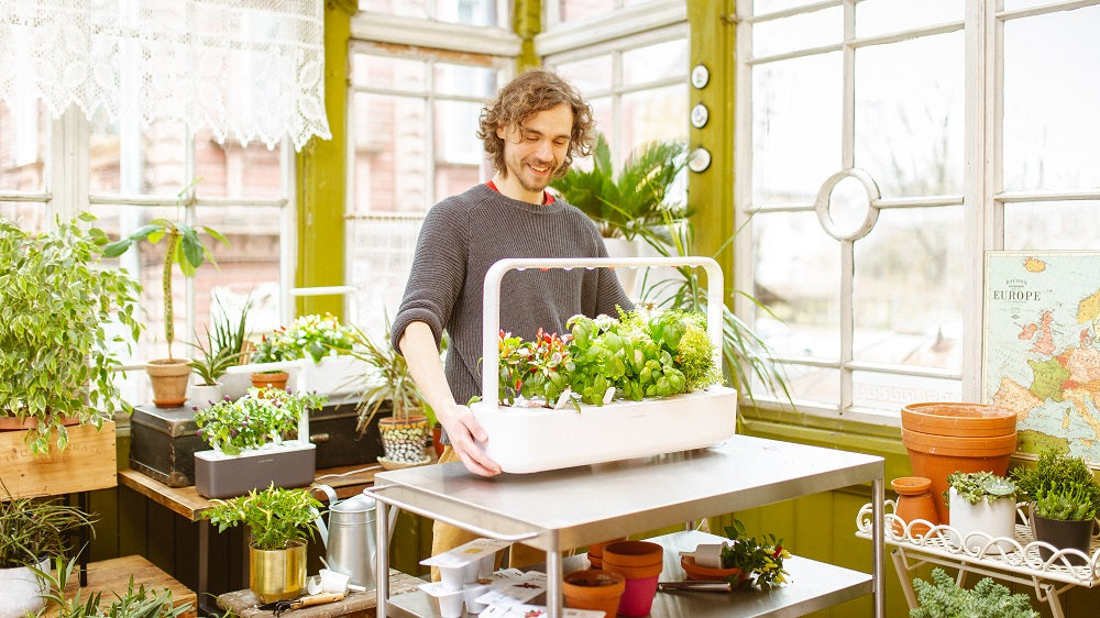 Gardener using the Click & Grow Smart Garden 9.