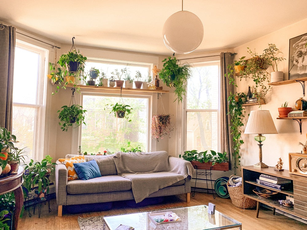 Spacious living room decorated with plants