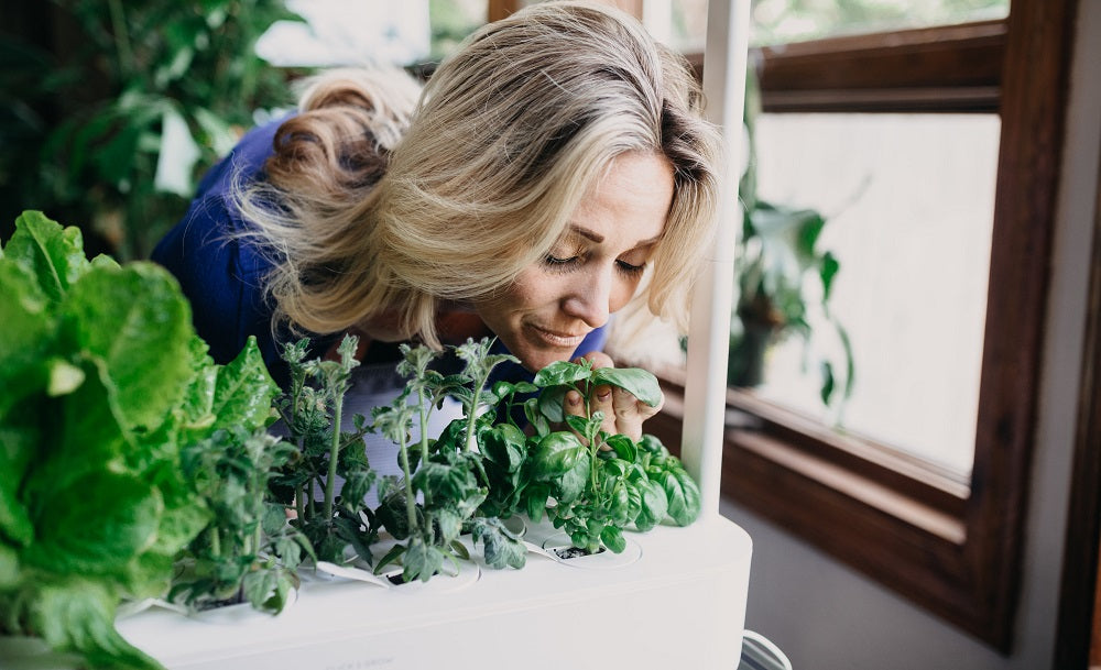 woman enjoying the aroma of herbs grown in her Click & Grow Smart Garden 9