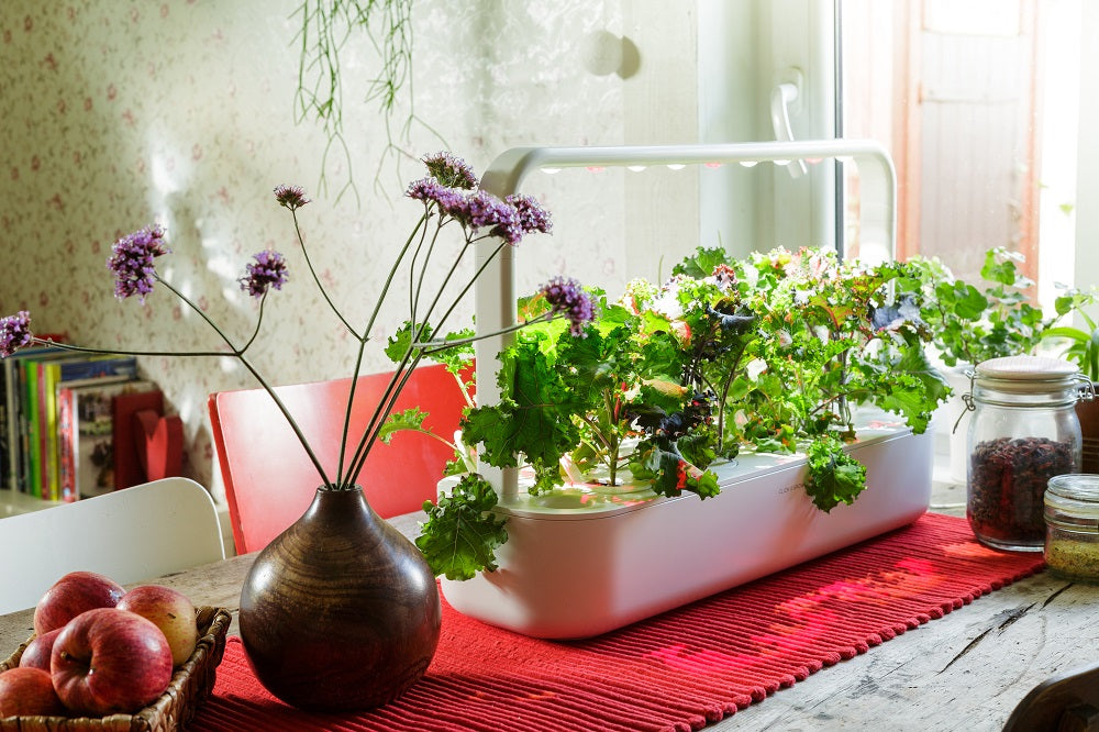 The Smart Garden 9 as a centerpiece on a homely table.