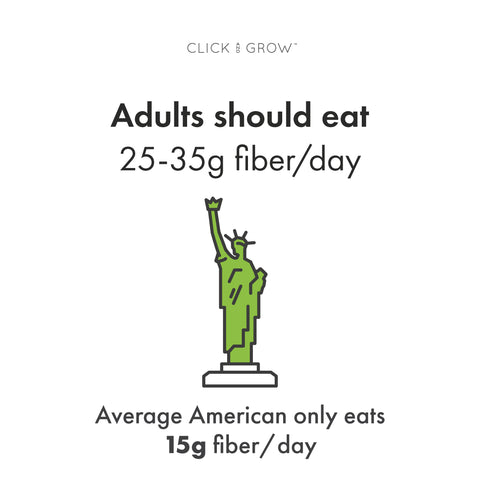 Fiber for adults infographic