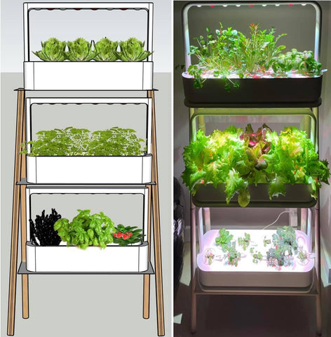 A collage containing a drawing of the Click & Grow Smart Garden 27 alongside a real life version.