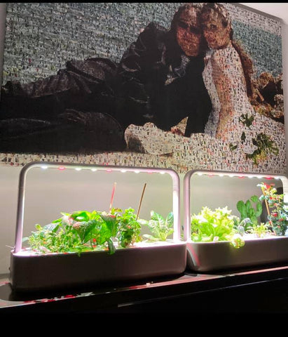 Two Smart Garden 9s alonside each other underneath a photo of a married couple.