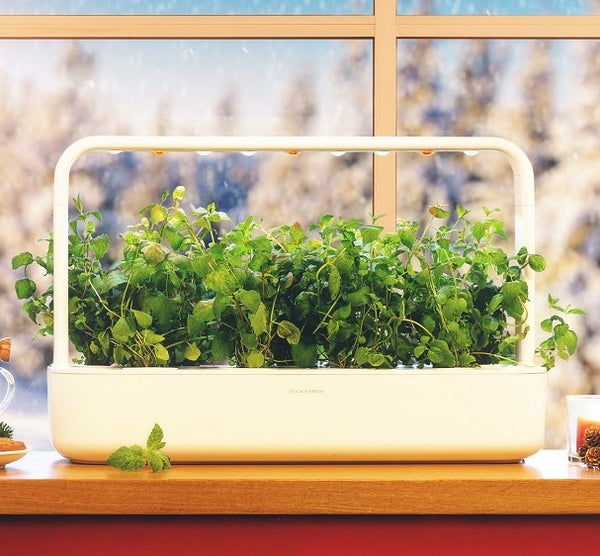 The Click & Grow smart garden 9 on a windowsill with snow in the background.