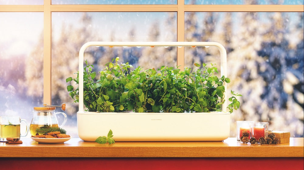 The Click & Grow smart garden 9 on a windowsill with snow in the background.