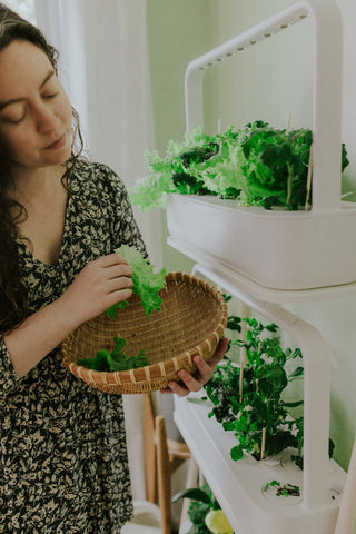 Woman harvesting greens from the Click and Grow Smart Garden 27.