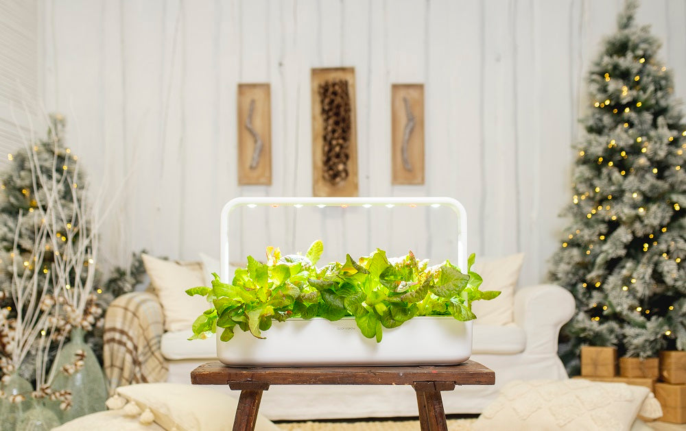 Click & Grow Smart Garden 9 on a living room table with Christmas decorations in the background.