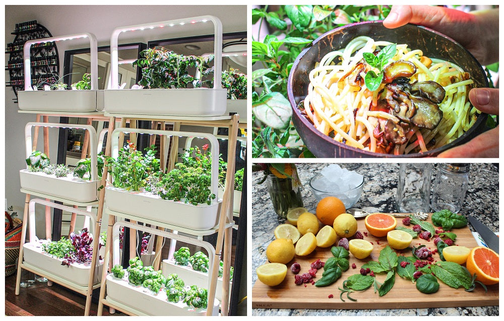 Collage of indoor gardens and food