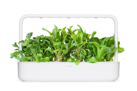 Salad Greens Mix in Smart Garden 9