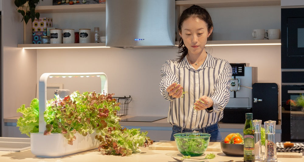 Preparing food with the Click & Grow Smart Garden 9