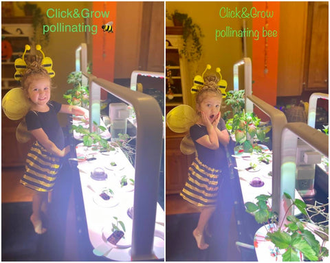 Girl dressed in a bumble bee costume alongside some Click & Grow smart gardens.