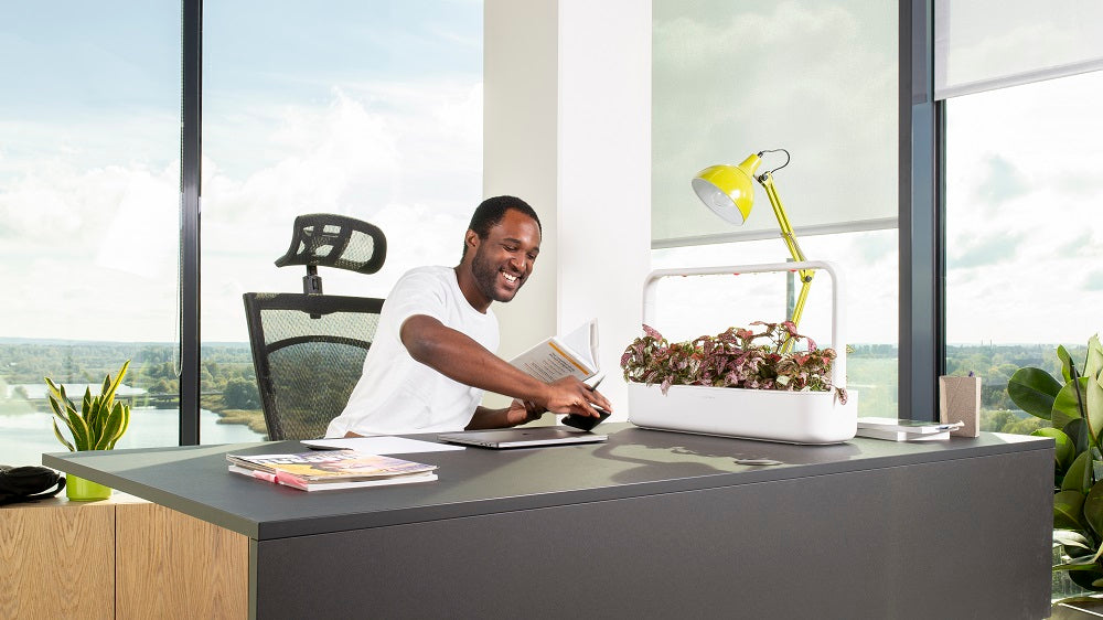 Man smiling, sitting at an office desk with a Click & Grow Smart Garden 9 on the table.