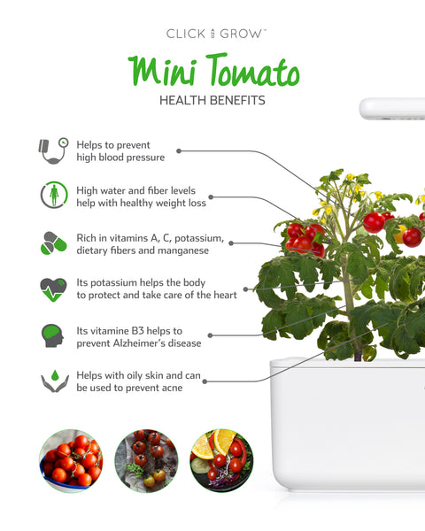 tomato infographic 