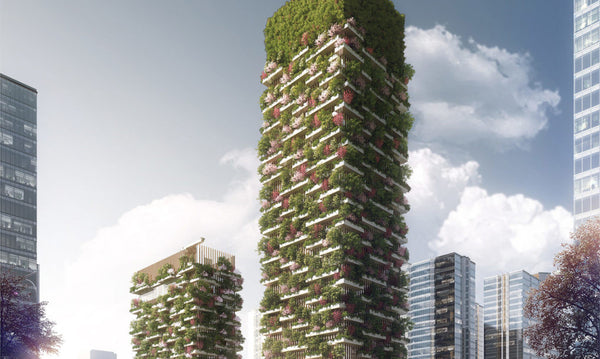 vertical garden vertical farming