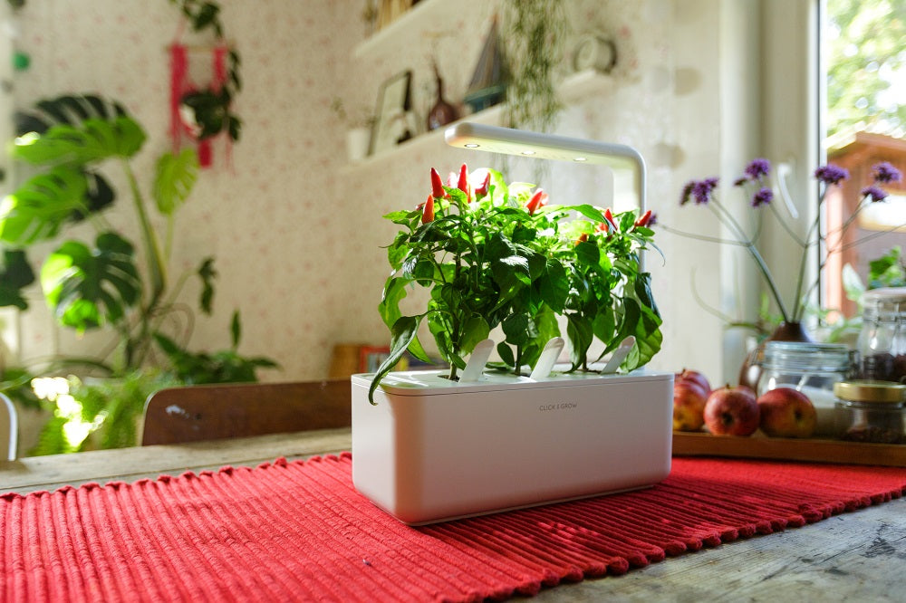 Click & Grow Smart Garden 3 on a dining room table.