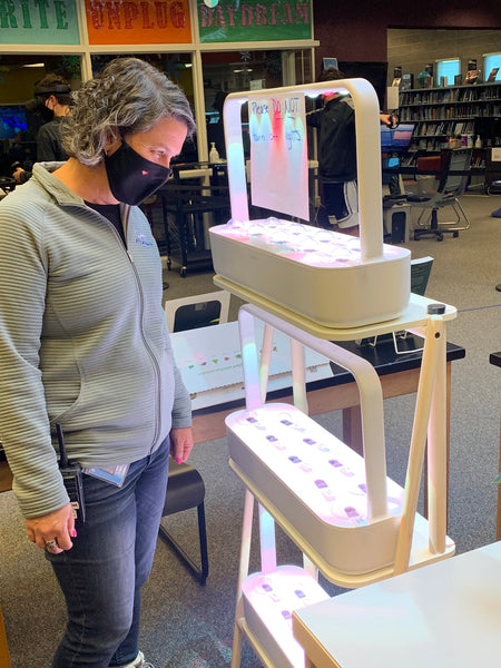 Woman observing the Click & Grow Smart Garden 27 in a school library.