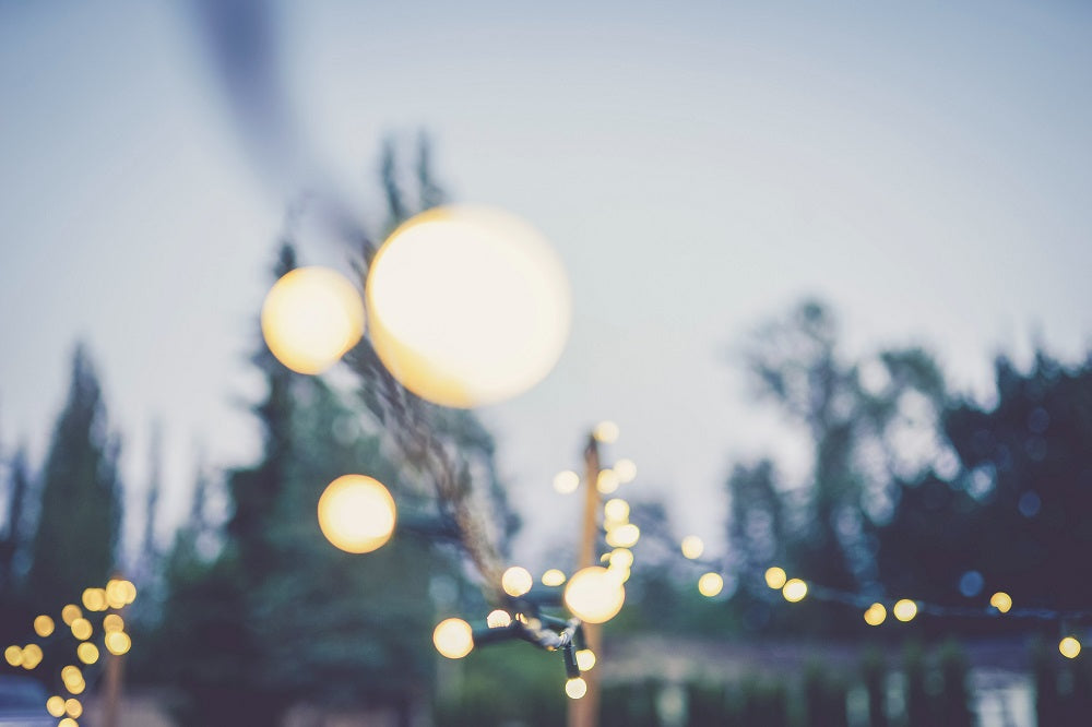 Evening lights sparkling in a garden.