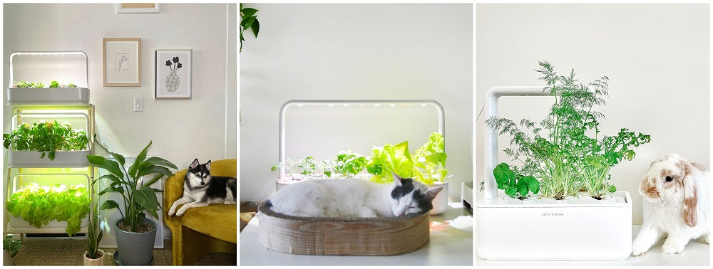 Collage of pets next to smart gardens.