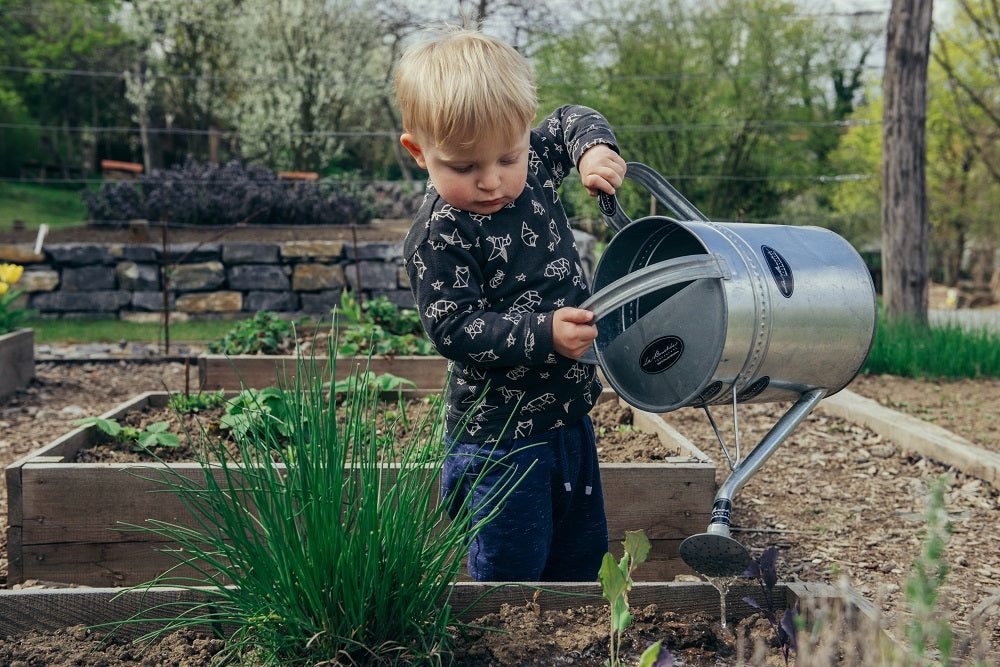 Toddler watering plants outdoors.