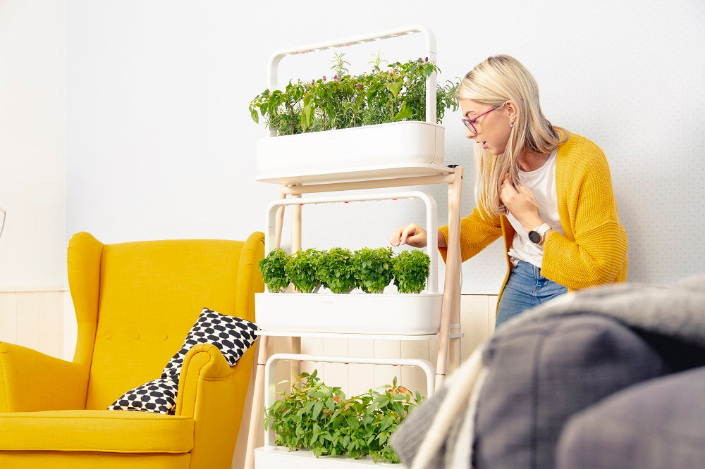 Woman observing plants growing in the Click and Grow Smart Garden 27.