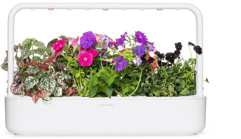 Colorful assortment of flowers in the Click & Grow Smart Garden 9.