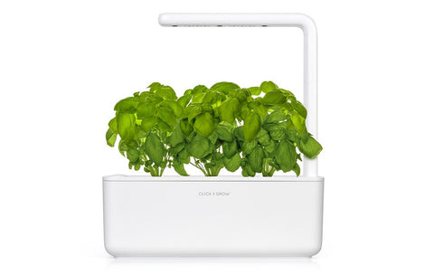 The Smart Garden 3 with fresh basil growing inside it.