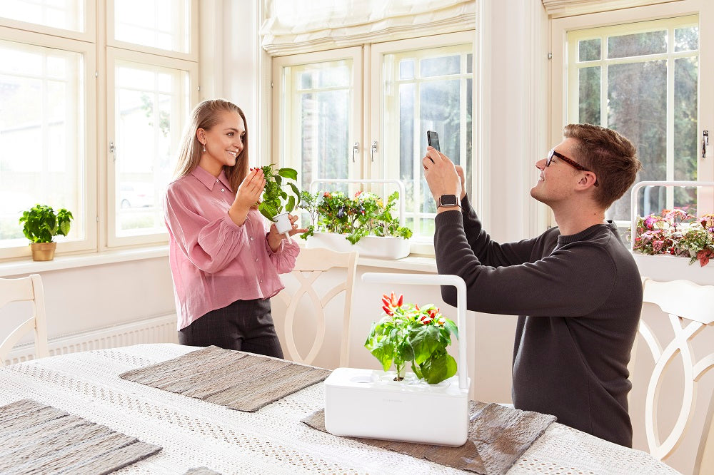Young couple having fun with Click & Grow smart indoor gardens.